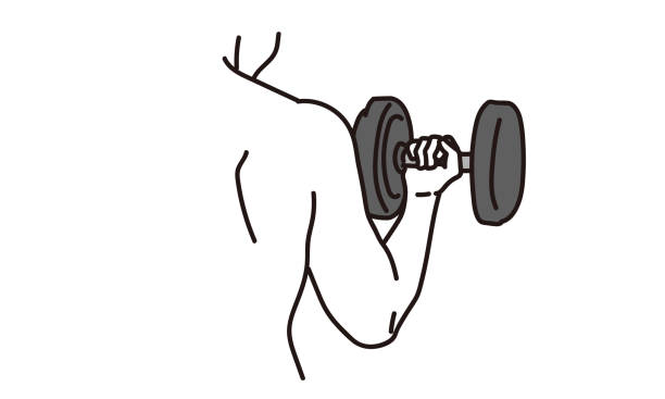ilustrações de stock, clip art, desenhos animados e ícones de man doing arm exercises with dumbbells - health club gym young men dumbbell