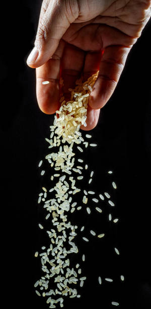 istock White rice grains falling down into the spoon at black background. Popular food and main ingredient of risotto and pilau. 1658665632