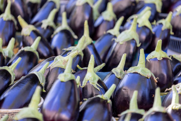 aubergines라고도하는 생 가지의 그룹. 그것은 종종 부엌에서 야채로 사용됩니다 - eggplant group of objects raw food eating 뉴스 사진 이미지