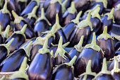 Group of raw eggplants also called aubergines. It is often used as a vegetable in the kitchen