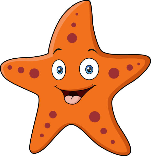 śliczna pomarańczowa rozgwiazda kreskówka na białym tle - shell starfish orange sea stock illustrations