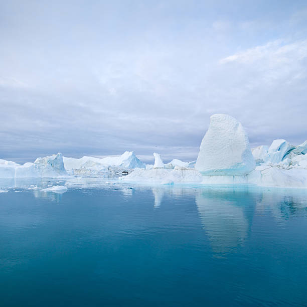 Huge Icebergs drifting in the calm artic waters in late evening light. North West Greenland. Squared.