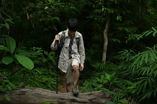 Young man with backpack trekking in forest, enjoying his recreation time in nature. Traveling and adventure concept.