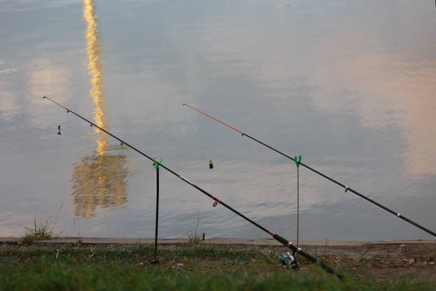 fishing poles by the water