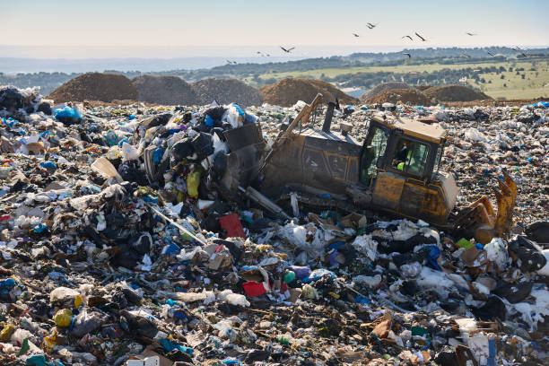 istock Heavy machinery shredding garbage in an open air landfill. Pollution 1658735760