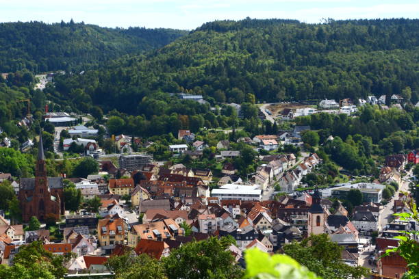 istock Late summer in the Black Forest 1658740104