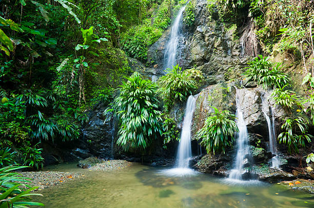 Rain at the Waterfall A multi-tier tropical waterfall surrounded by lush green foliage and a light rain falling with a natural pond at the bottom on the waterfall. tobago stock pictures, royalty-free photos & images