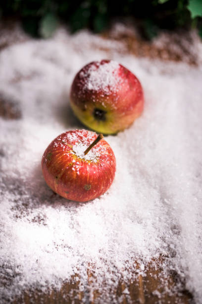 Scarlet apple on a blanket of snow, reminiscent of a greeting card in the style of Russian tradition