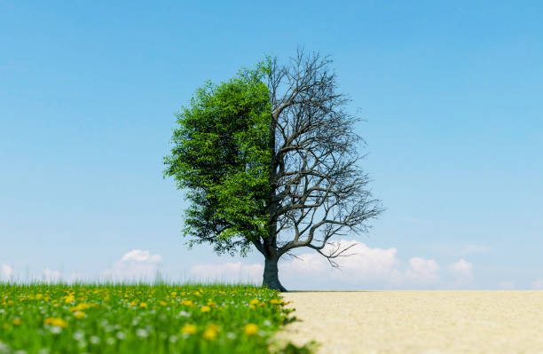 istock green landscape with climate change to drought 1658812088