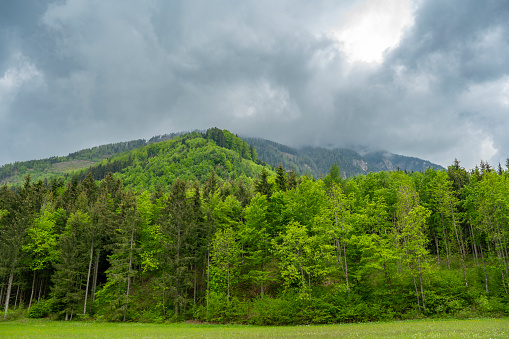Alpine springtime view in the Eastern Alps in Carinthia with a dramatic sky in the background with fresh green trees in the foreground.