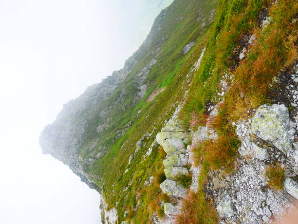 View on jagged mountain of Zillertal alps on a foggy summer day View on jagged mountain of Zillertal alps on a foggy summer day.  Zillertal alps/Zillertaler alpen, Austria. zillertaler alps stock pictures, royalty-free photos & images