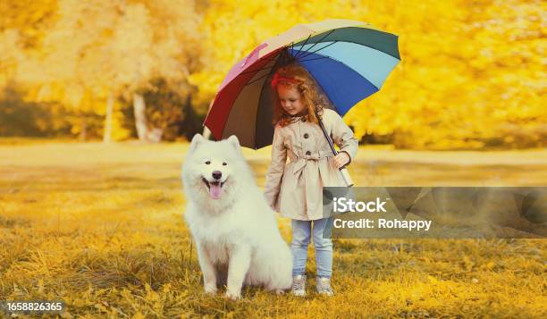 Samoyed Umbrella Samoyed Umbrella