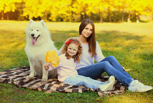 Happy family, young mother and child daughter with white Samoyed dog together in sunny autumn park