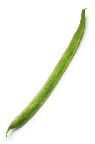 A bright green runner bean on a white background Single organic runner bean isolated on white. runner bean stock pictures, royalty-free photos & images
