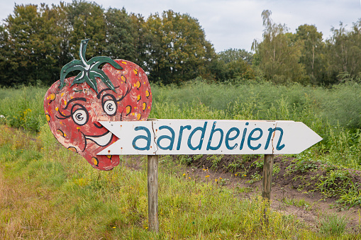 roadside sign strawberry for sale