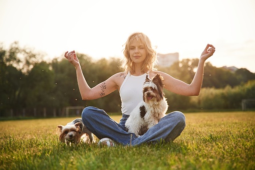 Sitting in yoga lotus pose. Young woman is with two little dogs on the summer field.