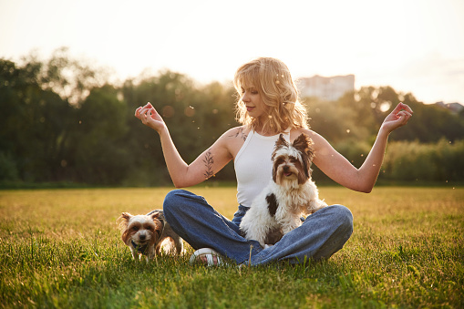 Sitting in yoga lotus pose. Young woman is with two little dogs on the summer field.