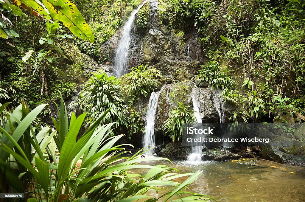 Tropical Paradise Series A multi-tiered waterfall in Tobago surrounded by lush green foliage and a natural pool below. Tobago Stock Photo