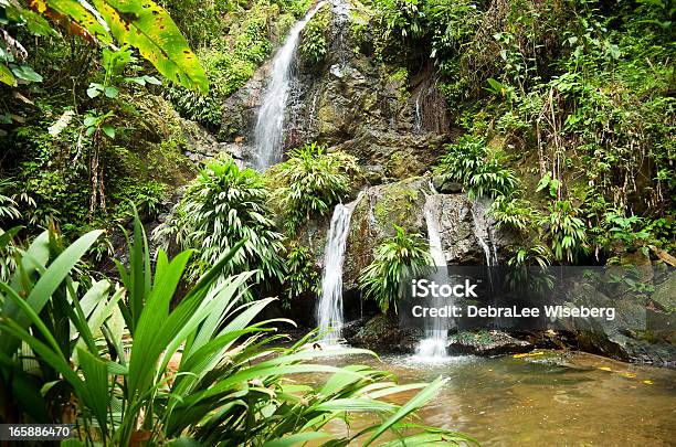Tropical Paradise Series Stock Photo - Download Image Now - Tobago, Rainforest, Waterfall