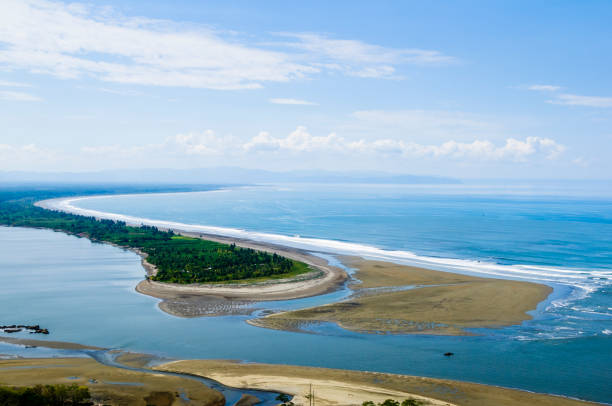 rio delta levando para o oceano - river aerial view delta rainforest imagens e fotografias de stock