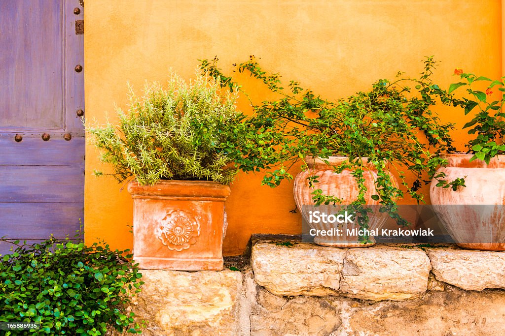 Plantas en recipientes - Foto de stock de Provenza-Alpes-Costa Azul libre de derechos