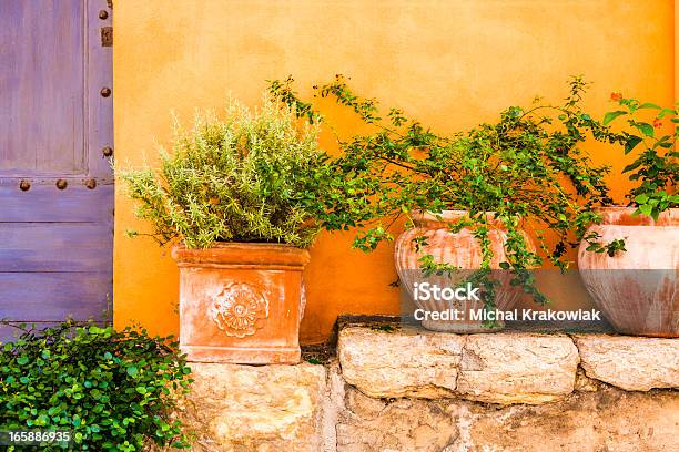 Plantas En Recipientes Foto de stock y más banco de imágenes de Provenza-Alpes-Costa Azul - Provenza-Alpes-Costa Azul, Francia, Amarillo - Color