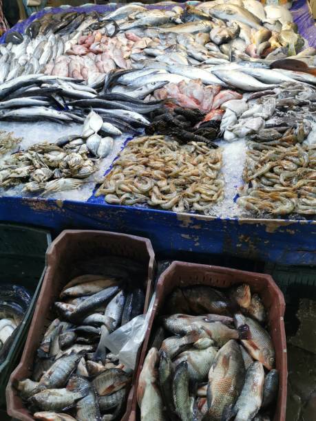istock fish market in hurghada 1658872890