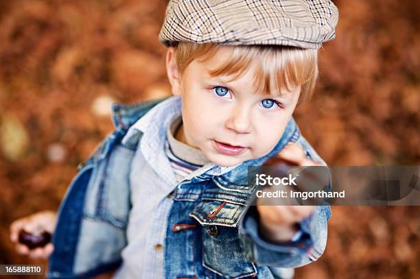 Foto de Castanha Outono e mais fotos de stock de Castanha - Castanha, Criança, Outono