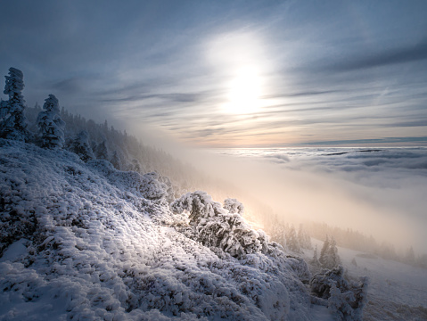 Scenic landscape with a view from a mounatin range to the valley filled with low clouds and fog during temperature inversion,snow,rime,clouds,spruce trees,sun.Jeseniky mountains.Czech republic.