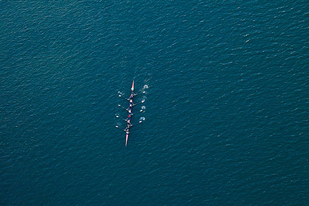 rudern scull boot auf dem colorado river in der nähe von austin, texas. - besatzung stock-fotos und bilder