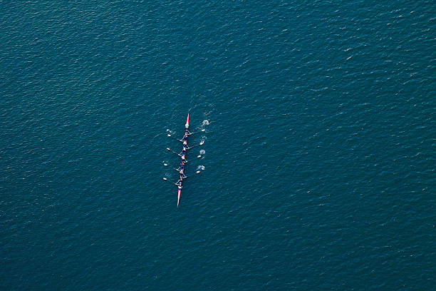 rowing scull boat on Colorado River near Austin Texas boat on Colorado River near Austin Texas. crew stock pictures, royalty-free photos & images