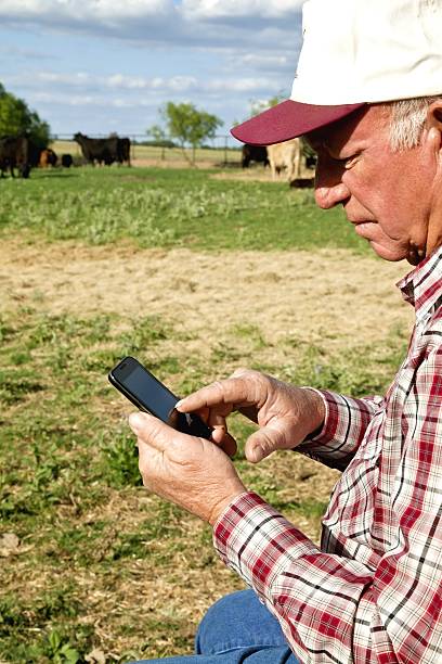 istock Agriculture: Farmer or rancher with Smart Phone, Cattle, field 165888322