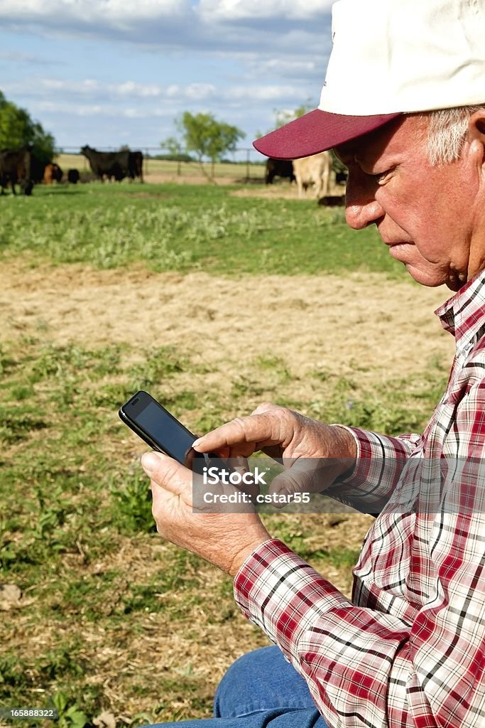 Agriculture: Farmer or rancher with Smart Phone, Cattle, field Farmer or rancher using a Smart Phone in pasture or field with his cattle in the background. Vertical image would be good for agriculture or technology use.  Smart Phone Stock Photo