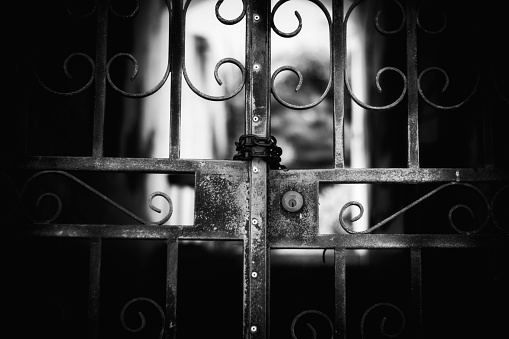 A stunning black and white photograph depicting the grand entrance of a vintage iron gate