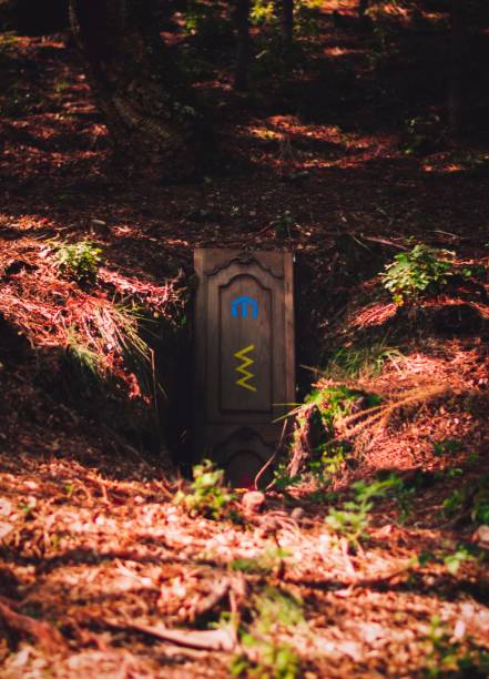 istock a door in the middle of a forest that has been painted 1658921426