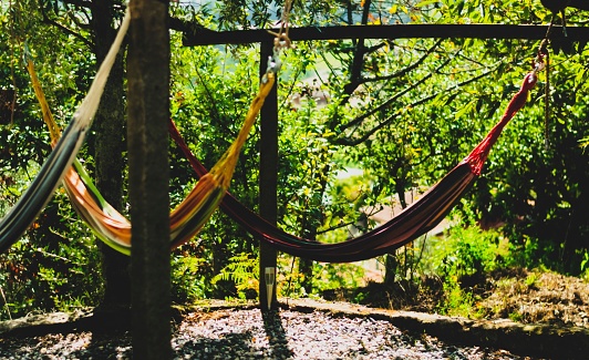 A hammock is suspended between two tall trees in a lush forest, with a natural canopy of foliage providing shade and privacy