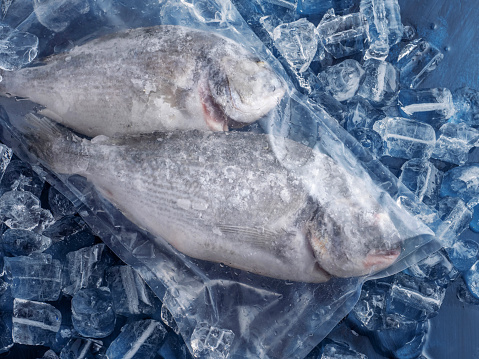 Aquaculture, Industry, Seafood, Animal, Bream, Fish, Packaging, Package, Plastic, Vacuum Packed, Fish, Background, Sea Bream, Frozen, İce, Catch of Fish