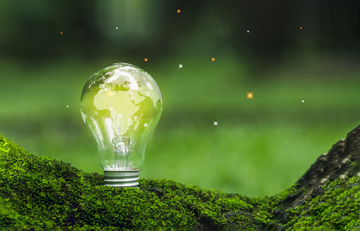 The world map on Lit light bulb on mossy tree. concept of Renewable energy, sustainable energy sources, Environmental protection, Green business, Sustainable development goals and saving energy.