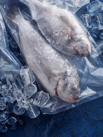 Aquaculture, Industry, Seafood, Animal, Bream, Fish, Packaging, Package, Plastic, Vacuum Packed, Fish, Background, Sea Bream, Frozen, İce, Catch of Fish