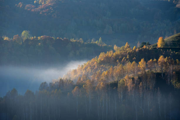 istock Autumn landscape in the mountains. Colorful forest 1658936464
