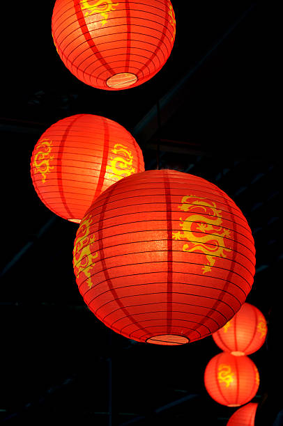 lanterne cinesi - winter cherry foto e immagini stock