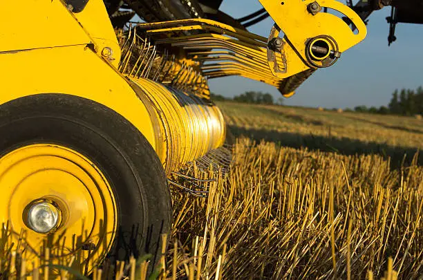 Closeup view of the pickup head of a round baler in a farm field of recently combined wheat.