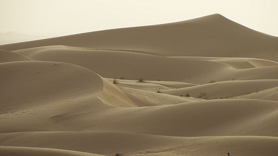 Turanian Desert, Balkh province, Afghanistan: sand dunes shaped by the central asian winds - deserts of Turan - barren landscape of the Turan lowland. Cold desert climate area. Badghyz and Karabil semi-desert ecoregion.