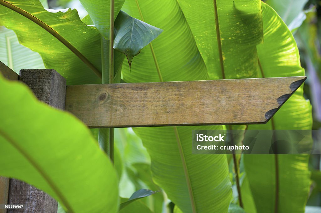 Blank wooden signpost in a nature with copyspace Signpost in wilderness area, place your own text. Announcement Message Stock Photo