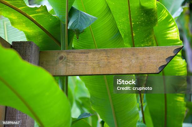 Blank Wooden Signpost In A Nature With Copyspace Stock Photo - Download Image Now - Announcement Message, Arrow Symbol, Blank