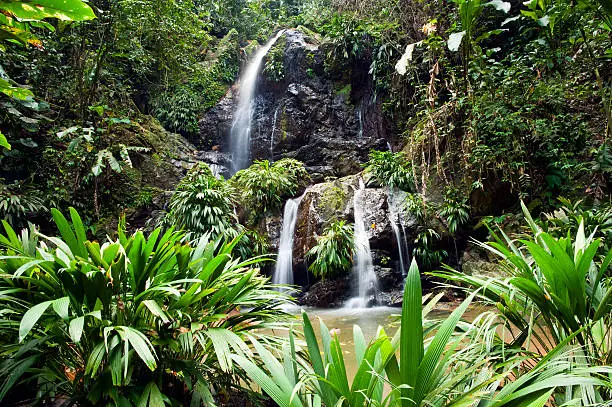 A multi-level tropical waterfall surrounded by lush foliage in the Caribbean.