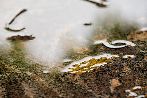 autumnal scene with wet desk with leaf and bright reflexions