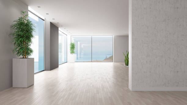 istock Modern Unfurnished Interior with Parquet Floor and Plants 1658990416
