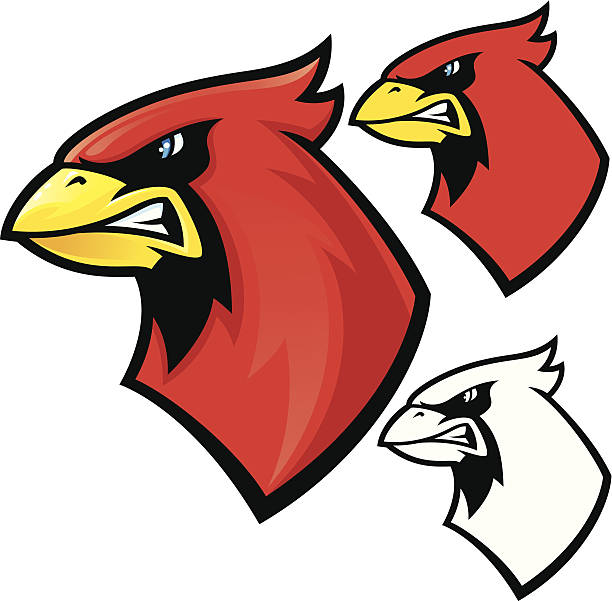 Cardinal Mascot This is a profile illustration of a Cardinal. The version on the left contains a few simple gradients. The file also includes a flat color and a black and white. All secondary color levels are removable down to a simple flat color image. The file is provided as an Illustrator 10 EPS and a 300dpi high-rez jpg. cardinal mascot stock illustrations