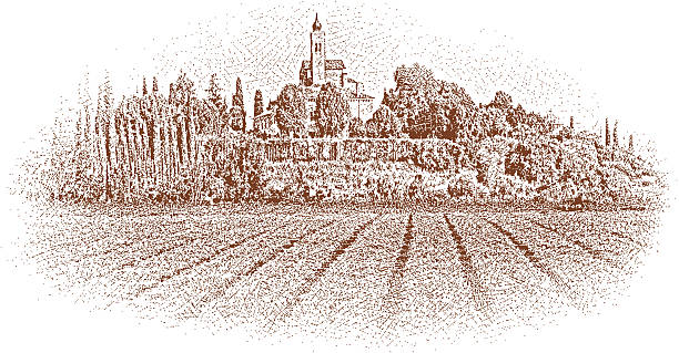 ilustraciones, imágenes clip art, dibujos animados e iconos de stock de toscana vineyard - tuscany